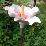 Artists/Images/ResizedSquare150/agnes avermaete_image_hibiscus.jpg